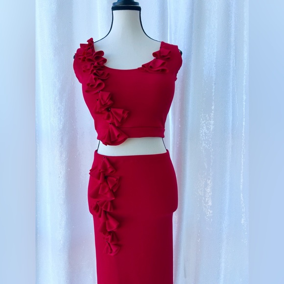 2 Pc Set, fitted skirt and crop top - Picture 1 of 5